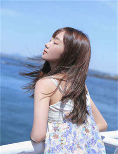 红酒烩鸡2