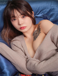 林肯律师