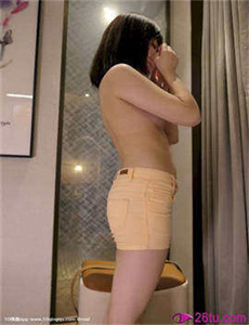 临时特工2006国语