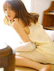 施公奇案2